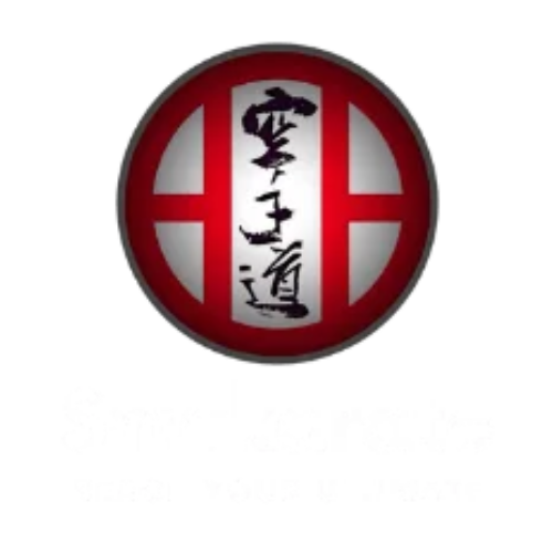 SNW Karate — Reach Your Ultimate